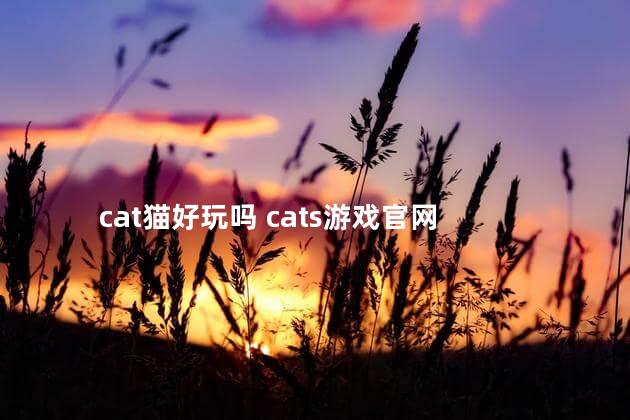 cat猫好玩吗 cats游戏官网